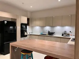 Super Luxury Apartment For Rent In The Address Colombo 3