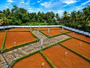 උයන්වත්ත වැවට මුහුණලා අගනා ඉඩමක්