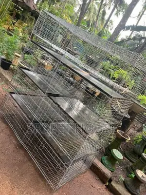 Breeding Bird Cage