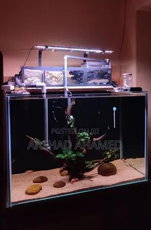 Fish Tank Full Set