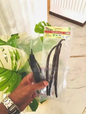 Vanilla Beans