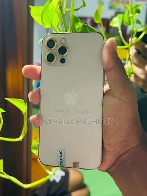 Apple iPhone 12 Pro (Used)