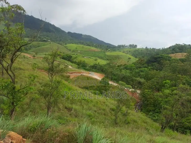 Valuable Land for Sale in Deltota