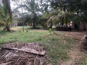 Farm Lands For Sale In Puttalam City