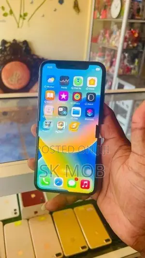 Apple iPhone X 256GB (Used)