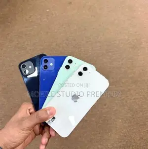 Apple iPhone 12 (Used)