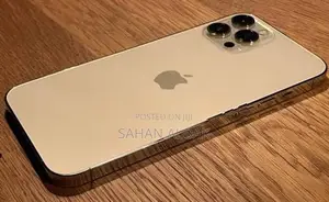 Apple iPhone 12 Pro 256GB (Used)