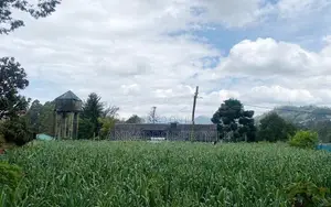 Freehold Land for Sale Near Nuwara Eliya Town