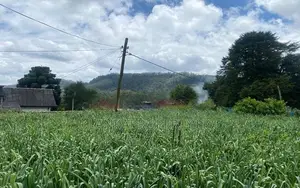 Freehold Land for Sale Near Nuwara Eliya Town