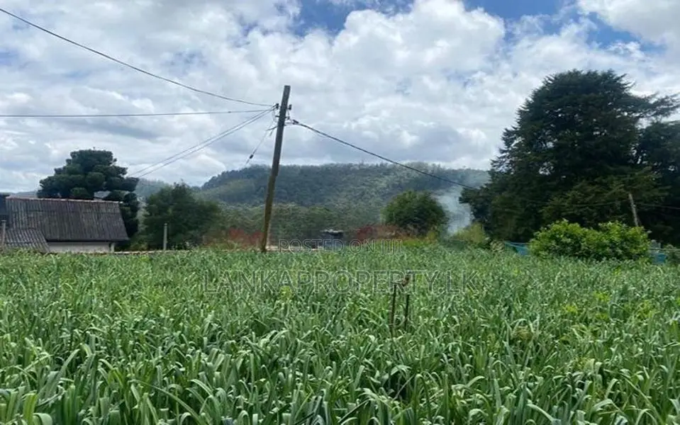 Freehold Land for Sale Near Nuwara Eliya Town