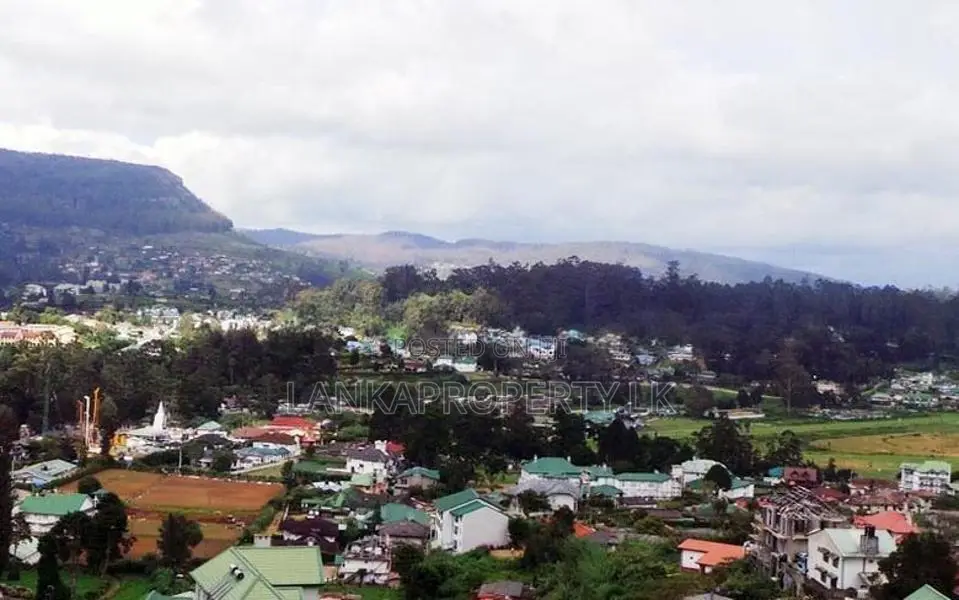 Freehold Land for Sale Near Nuwara Eliya Town
