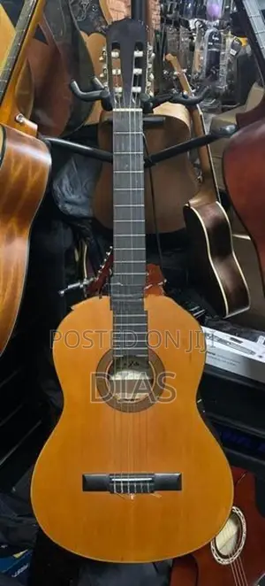 Japan Used Guitar