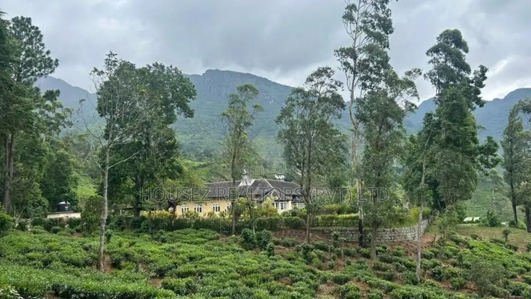 60-Acre Estate with Colonial British Bungalow for Sale-Nuwara Eliya