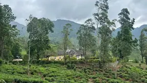 60-Acre Estate with Colonial British Bungalow for Sale-Nuwara Eliya