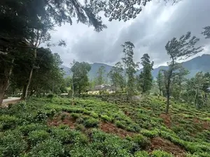 60-Acre Estate with Colonial British Bungalow for Sale-Nuwara Eliya