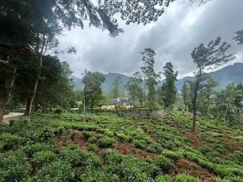 60-Acre Estate with Colonial British Bungalow for Sale-Nuwara Eliya