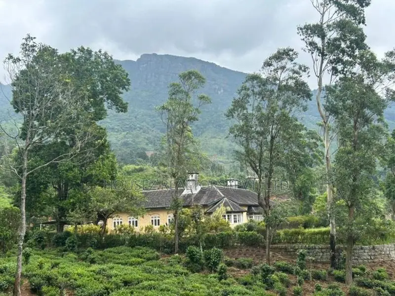 60-Acre Estate with Colonial British Bungalow for Sale-Nuwara Eliya