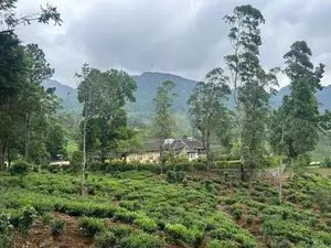 60-Acre Estate with Colonial British Bungalow for Sale-Nuwara Eliya