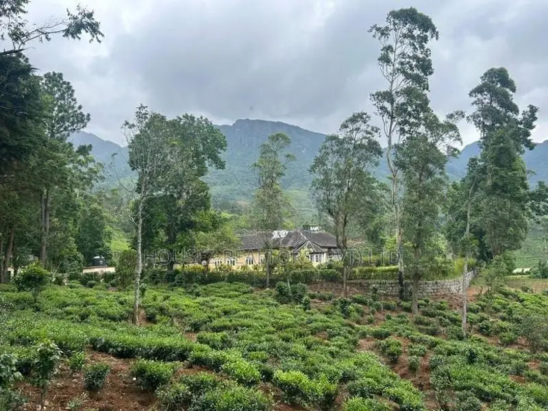 60-Acre Estate with Colonial British Bungalow for Sale-Nuwara Eliya