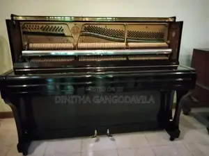 E.Grieg Piano