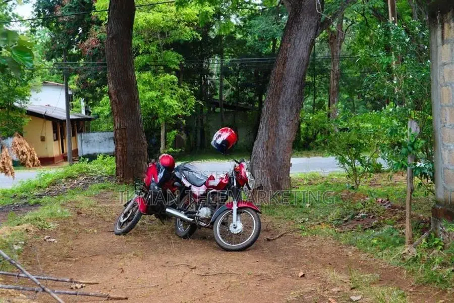 Valuable Residential Land for Sale – Kataragama, Devagamuwa