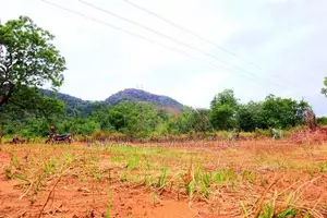 Valuable Residential Land for Sale – Kataragama, Devagamuwa