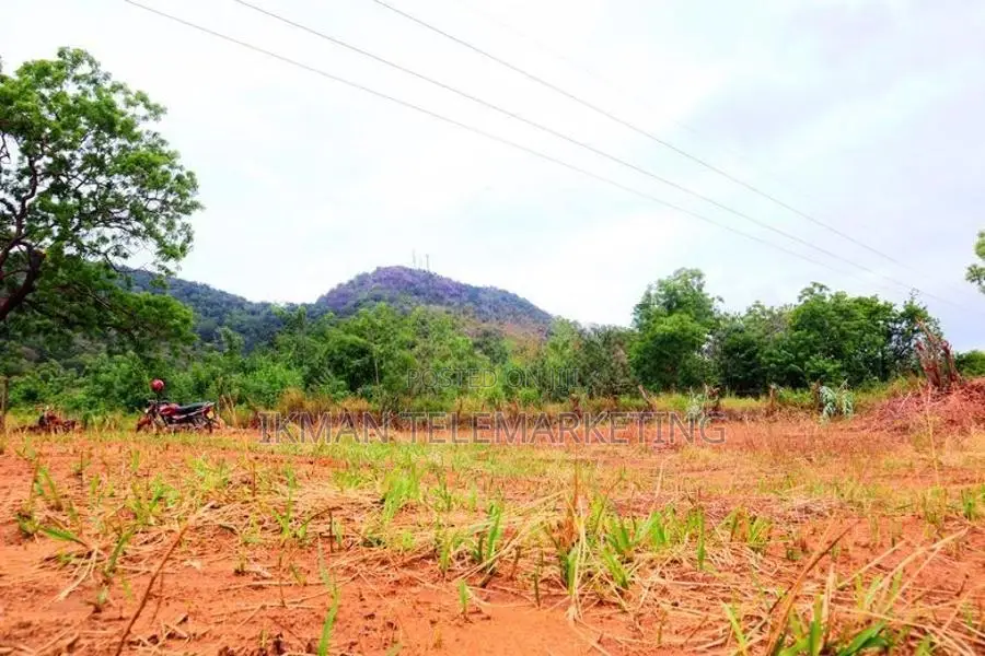 Valuable Residential Land for Sale – Kataragama, Devagamuwa