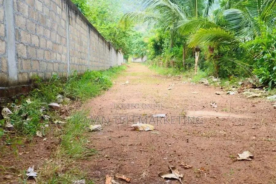 Valuable Residential Land for Sale – Kataragama, Devagamuwa