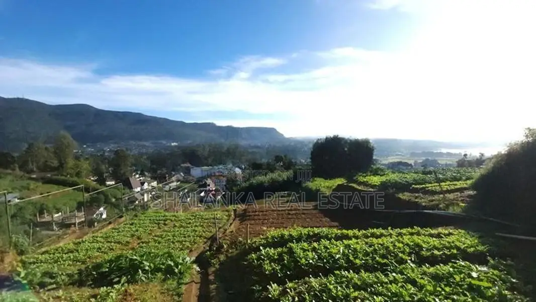 Land for Sale in Nuwara Eliya City – Prime Location