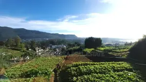 Land for Sale in Nuwara Eliya City – Prime Location