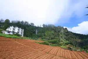 Land for Sale in Nuwara Eliya City – Prime Location