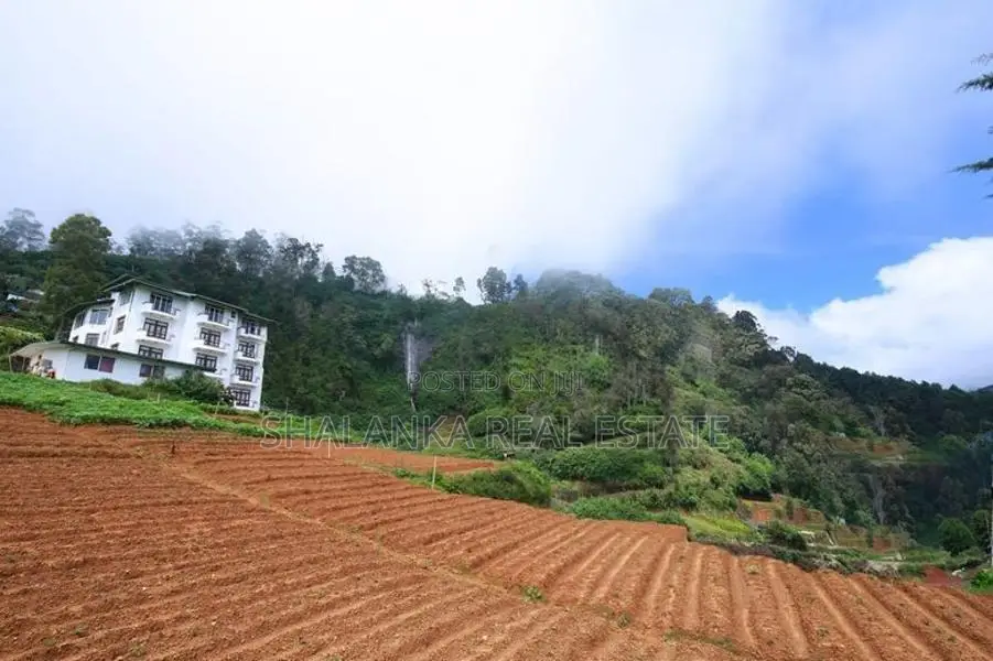 Land for Sale in Nuwara Eliya City – Prime Location
