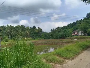 House for Sale in Hingula