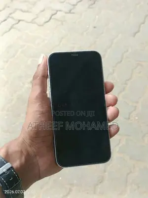 Apple iPhone 12 (Used)