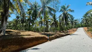 පිලියන්දල නේවාසික බිම් කොටස් විකිණීම