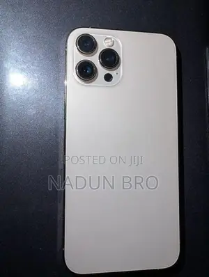 Apple iPhone 12 Pro Max (Used)
