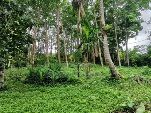 පනාපේ හංදියෙන් සුපිරි ඉඩමක් විකිනීමට