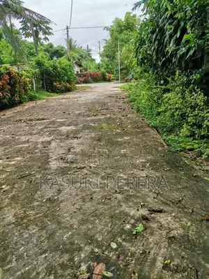 පනාපේ හංදියෙන් සුපිරි ඉඩමක් විකිනීමට