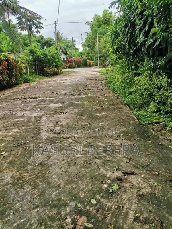 පනාපේ හංදියෙන් සුපිරි ඉඩමක් විකිනීමට
