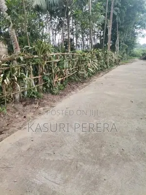 පනාපේ හංදියෙන් සුපිරි ඉඩමක් විකිනීමට