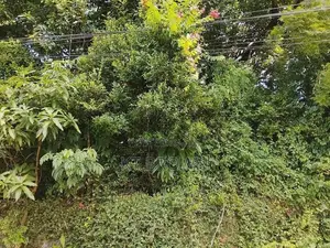Residential Land Kalapaluwawa