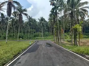 Coconut Land for Sale in Thalagala
