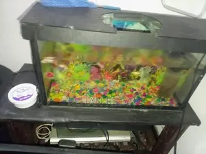 Fish Tank Full Set