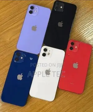 Apple iPhone 12 128GB (Used)