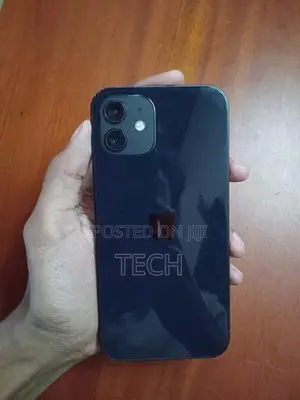 Apple iPhone 12 (Used)