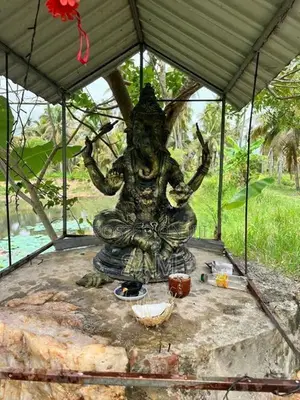 Coconut Land for Sale in Mundalama