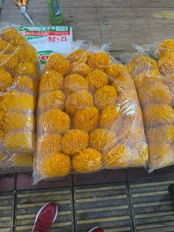 Thai Daspethiya seeds