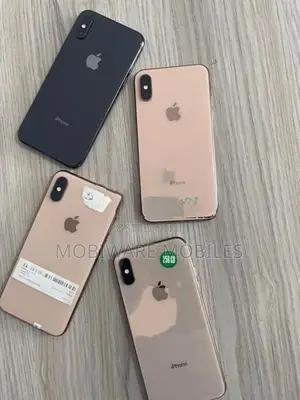 Apple iPhone XS 256GB (Used)