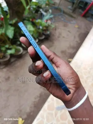 Apple iPhone 12 (Used)