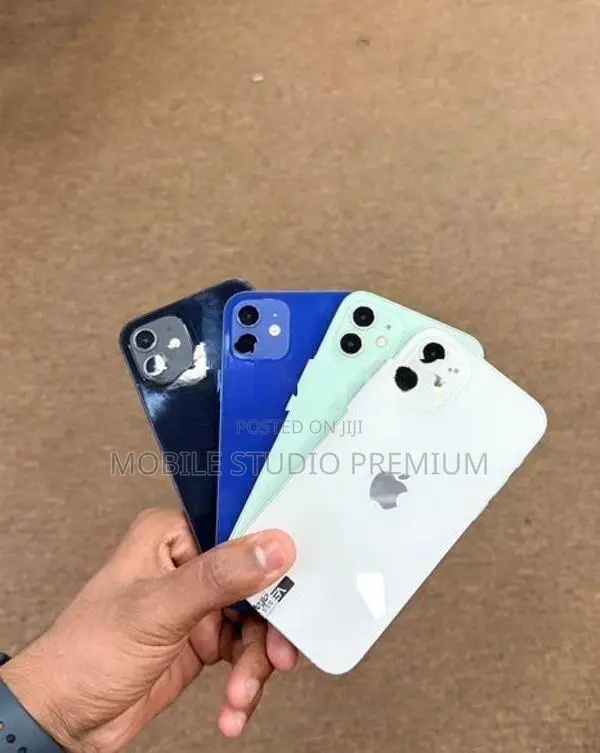 Apple iPhone 12 (Used)